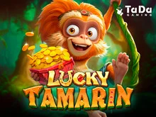 Lucky Tamarin